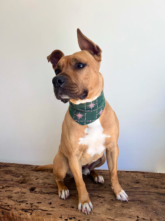 Bandana Sun