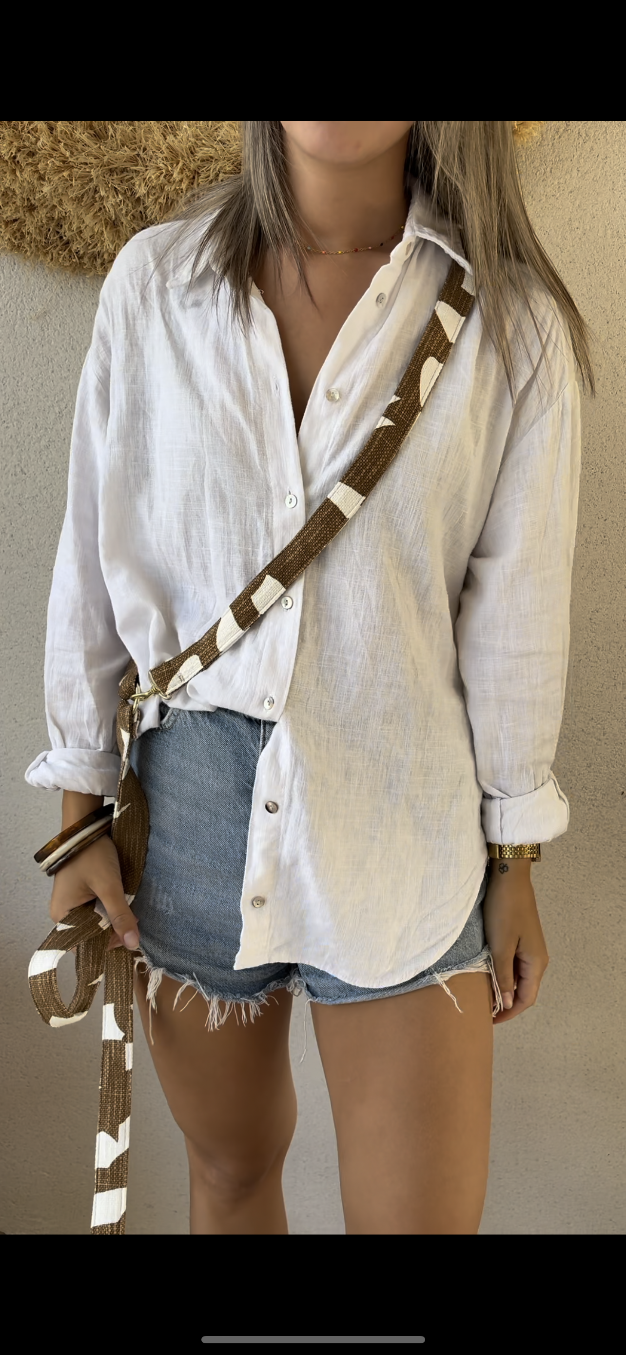 Laisse Brown