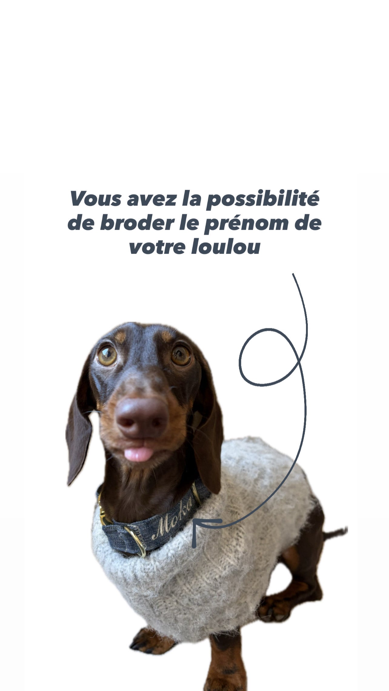 Harnais pour chien - Pied de poule