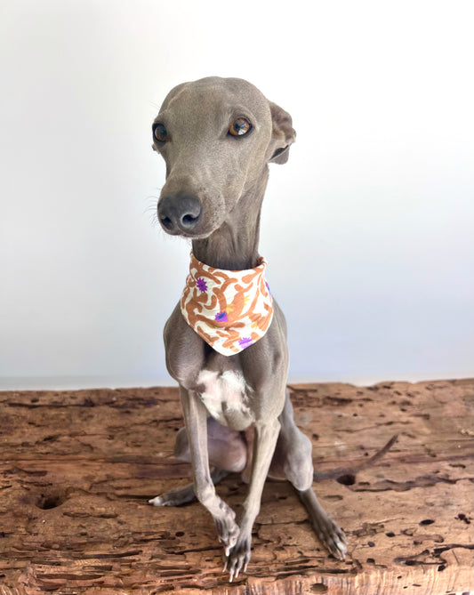 Bandana Foral