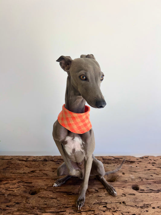 Bandana Lilo