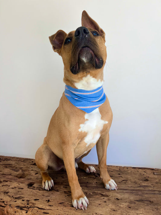 Bandana Blue
