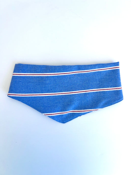 Bandana Blue