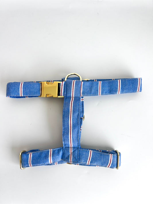 Harnais Blue
