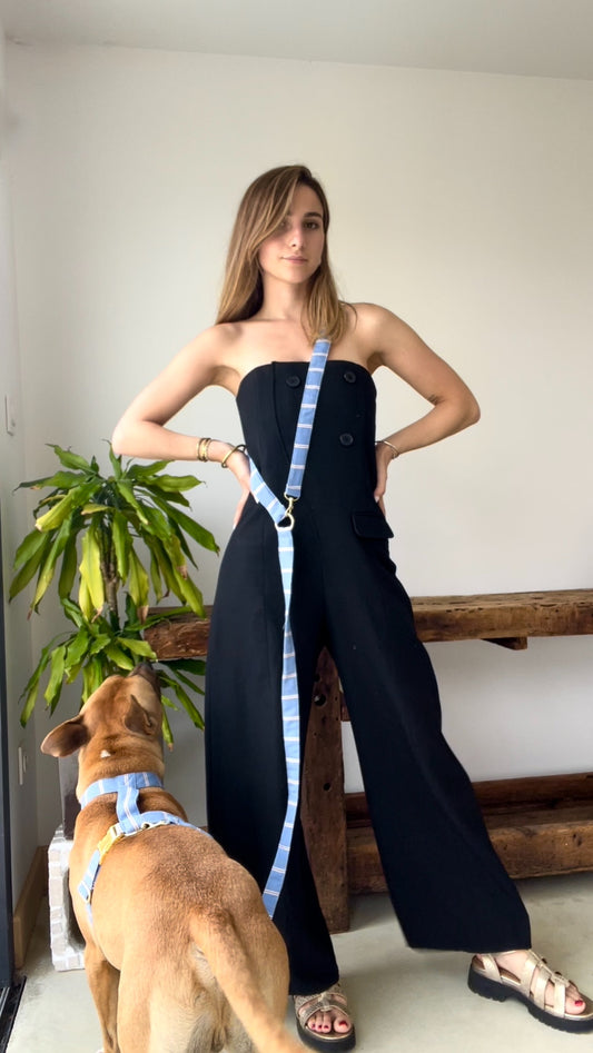 Laisse Blue